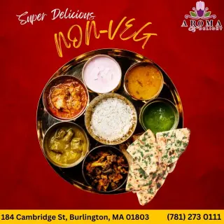 Non-Vegetarian Meal Non-Vegetarian Meal
