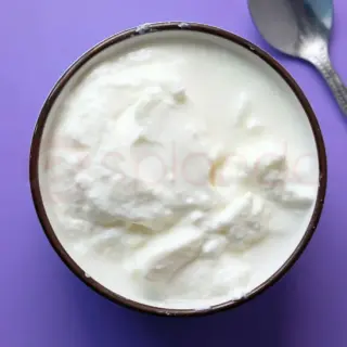 Plain Yogurt Plain Yogurt