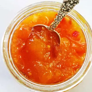 Mango Chutney Mango Chutney